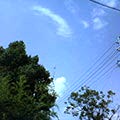 c0054902_23451548.jpg