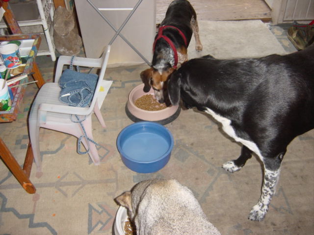 c0048504_14211033.jpg