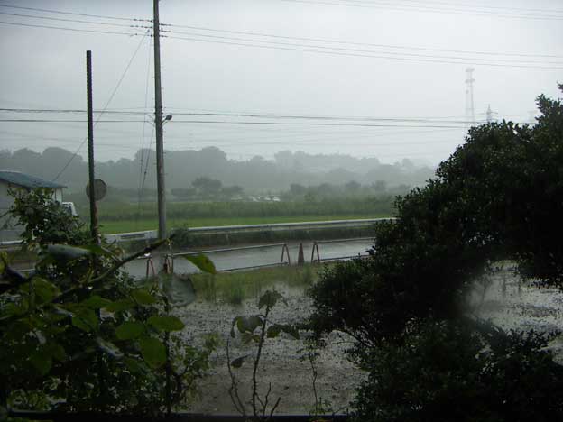 e0018604_17431889.jpg