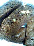 e0025410_2134471.jpg