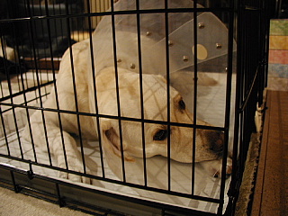 e0006018_22514918.jpg
