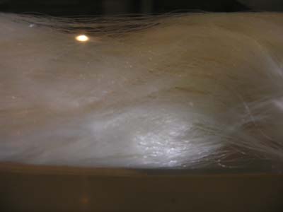 c0059521_21592469.jpg