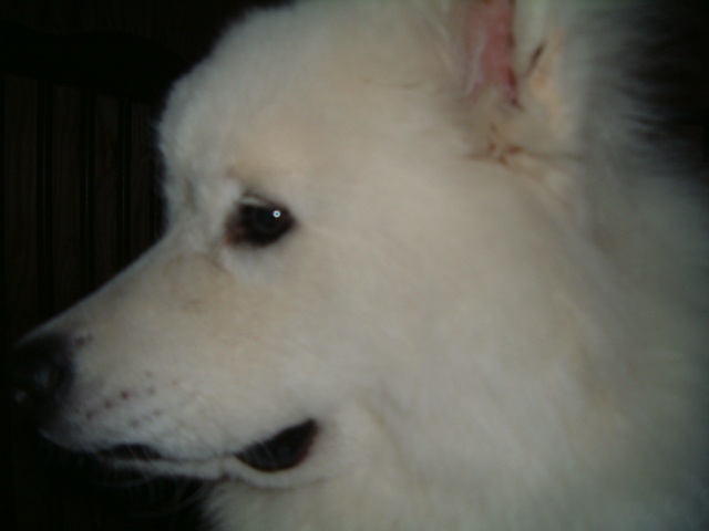 e0024126_16464965.jpg