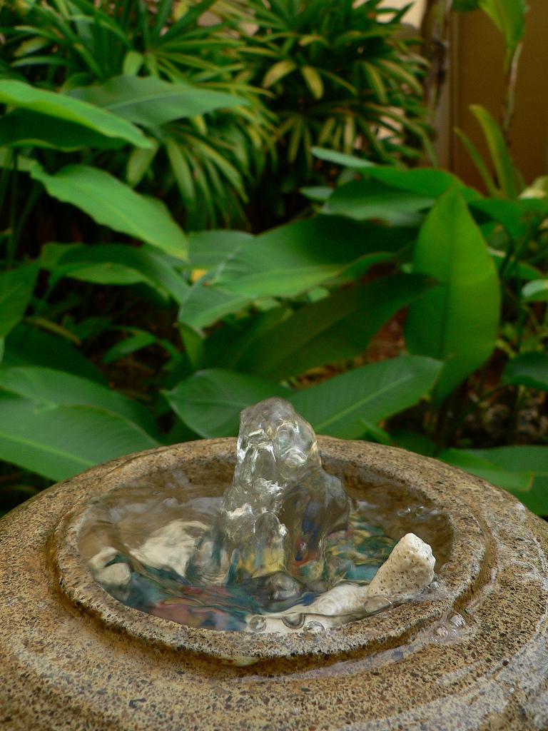 d0066031_21475475.jpg