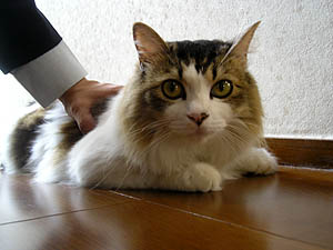 a0031432_21295021.jpg