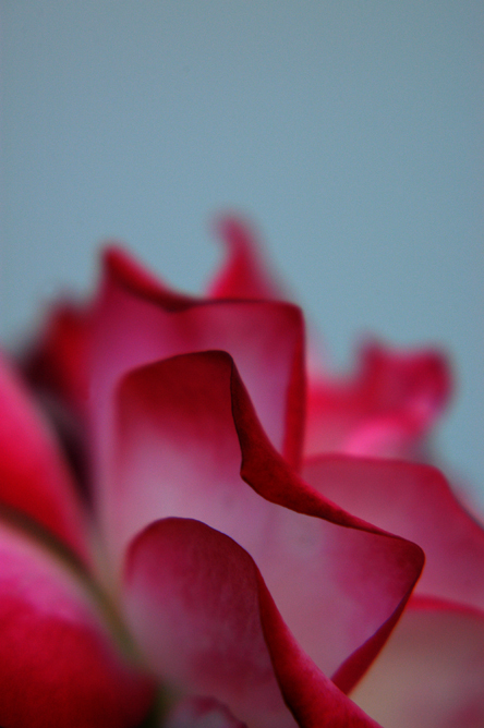 b0063234_013317.jpg