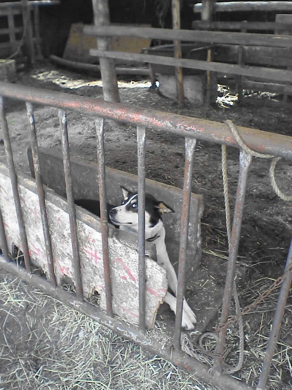 a0008436_2011339.jpg