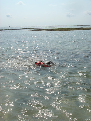 b0027041_15103469.jpg