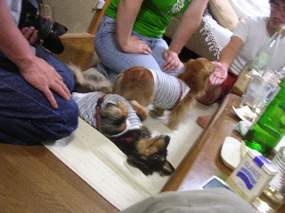 c0065643_075365.jpg