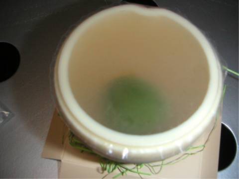d0006253_2256458.jpg