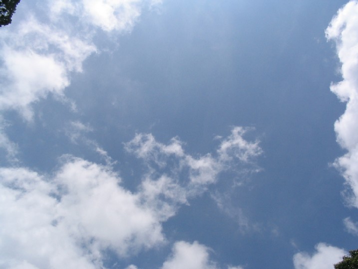 a0031454_21271026.jpg