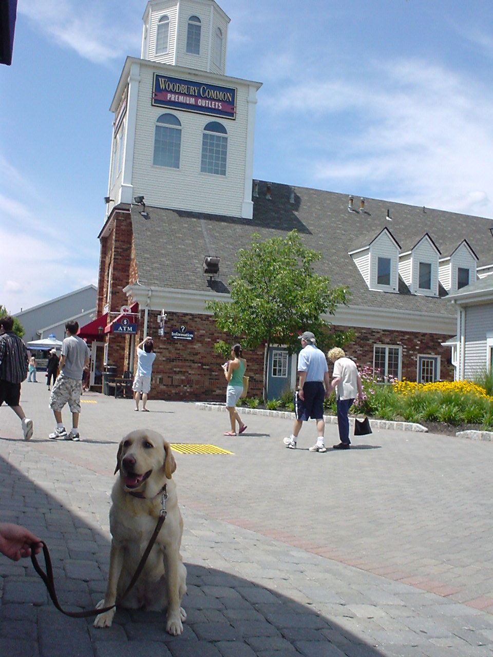 e0015154_2125315.jpg