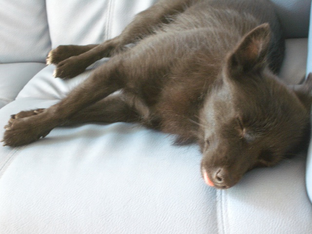 e0002466_21255151.jpg
