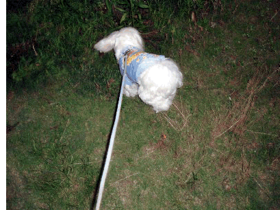 b0060071_047591.gif