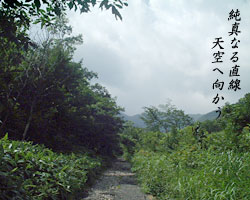 b0049180_2157829.jpg