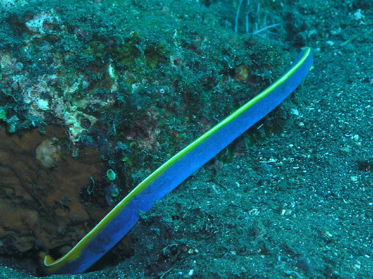 d0034291_2148497.jpg