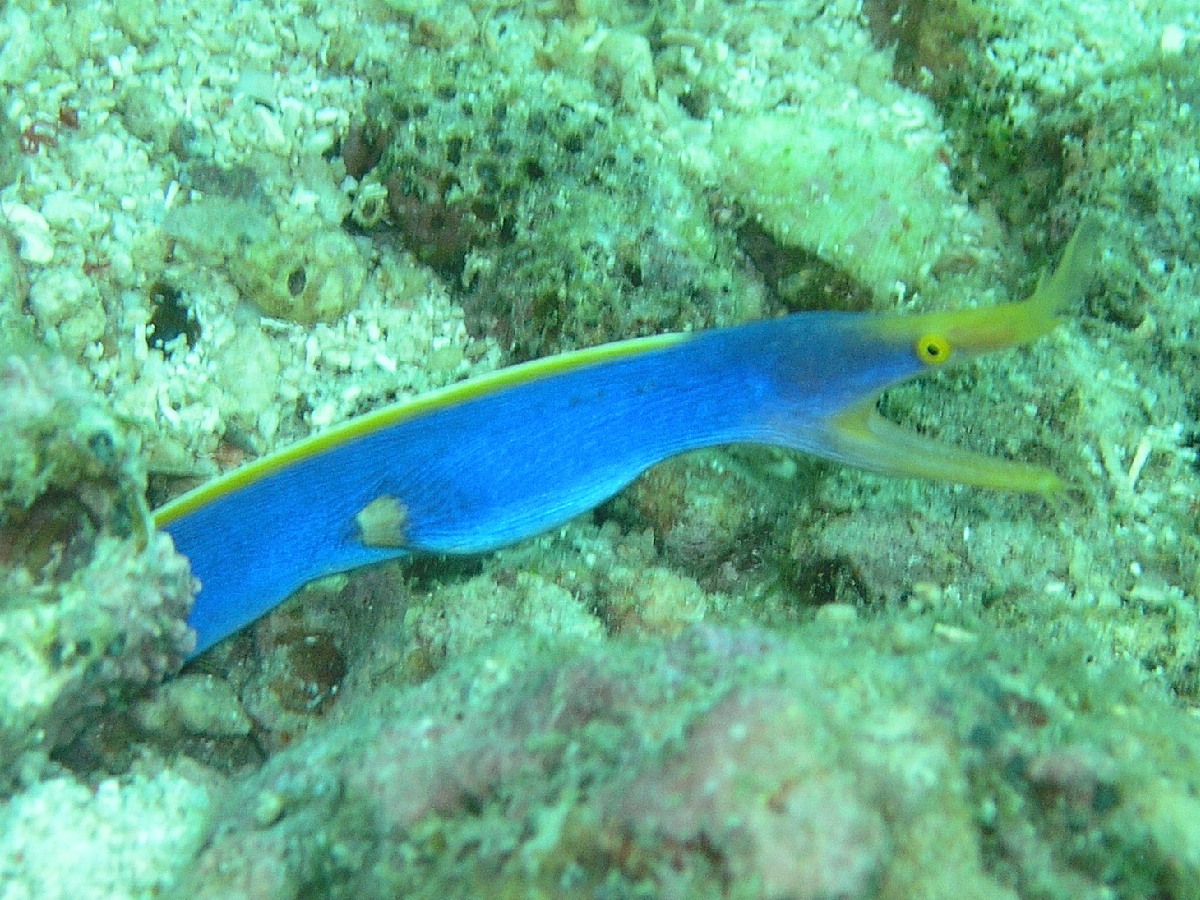 d0034291_21502561.jpg