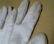 e0025497_23715.jpg