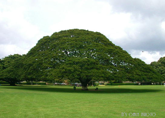 e0008800_19424147.jpg