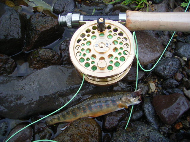 b0050305_20245942.jpg