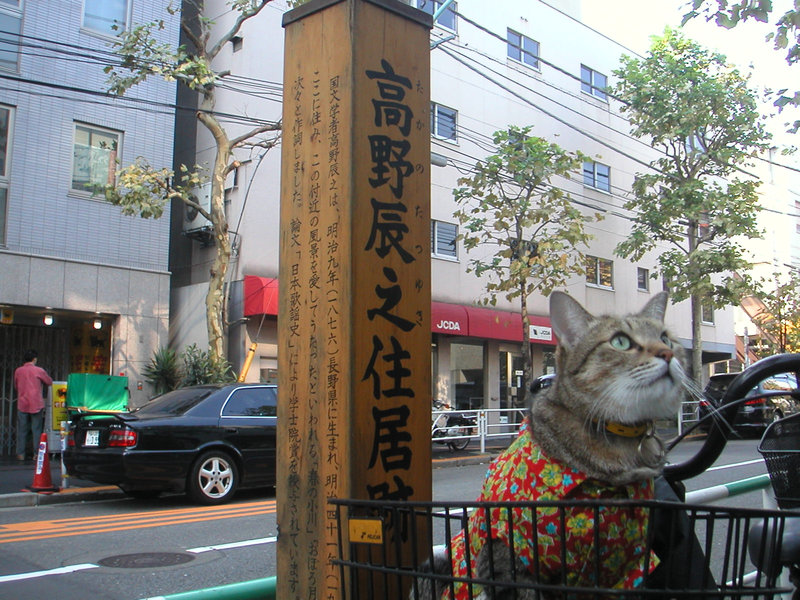 e0031605_17342346.jpg