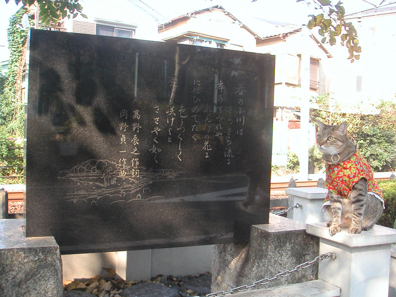 e0031605_17411353.jpg