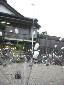 d0040729_2435778.jpg