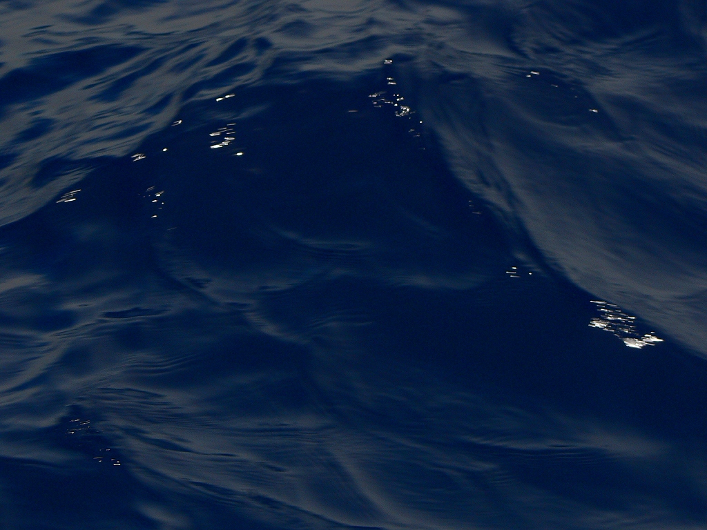 d0066031_22454296.jpg