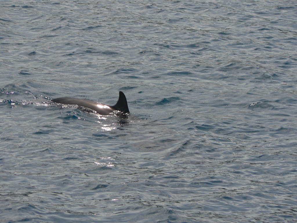 d0066031_22465633.jpg