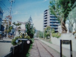 d0039141_1112554.jpg