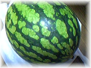 d0035269_2364574.jpg