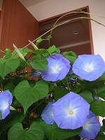 a0035678_14202871.jpg