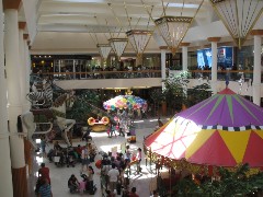 b0043897_8264141.jpg