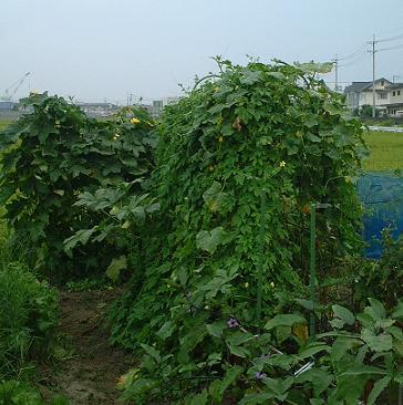 c0004601_14284050.jpg