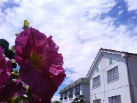 c0048701_23483565.jpg