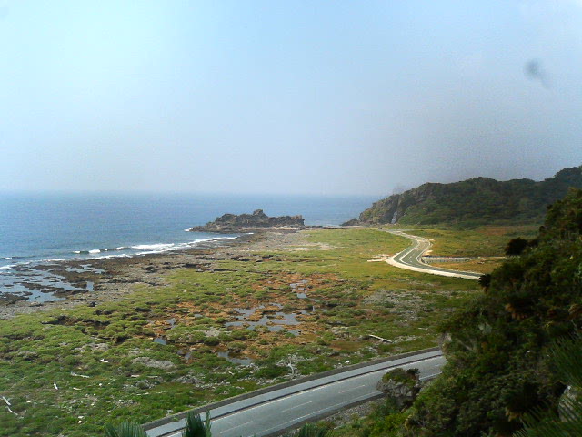 e0024206_2322375.jpg