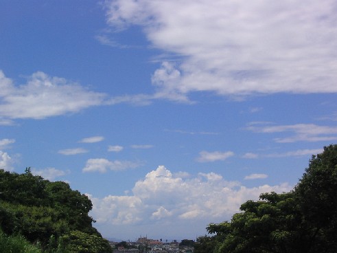 b0035707_14515975.jpg