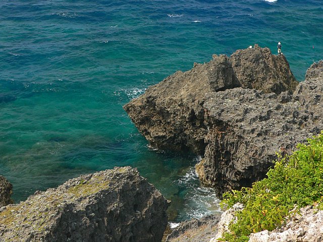 a0018608_626889.jpg