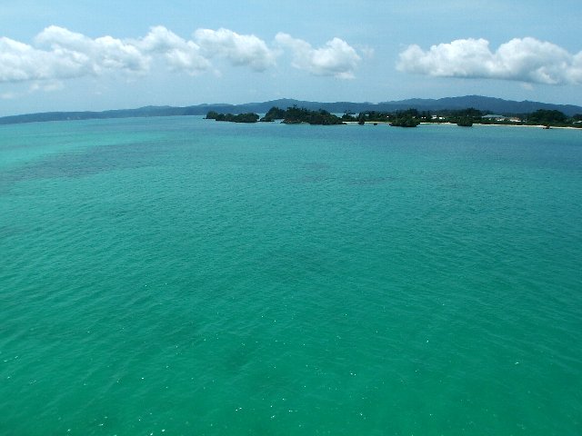 a0018608_6423863.jpg