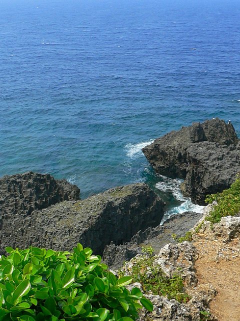 a0018608_794380.jpg
