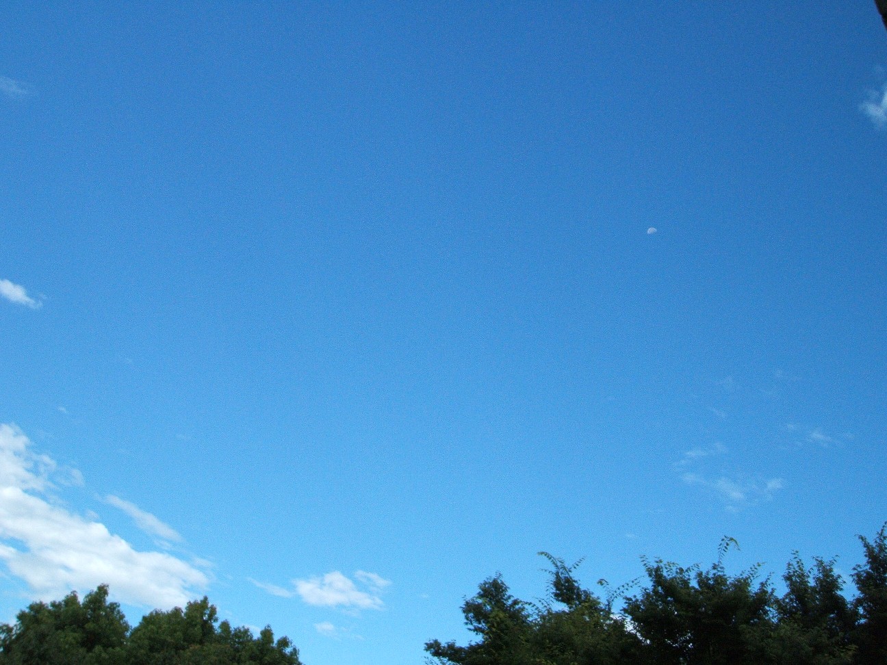 b0061010_1562810.jpg