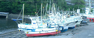 e0034012_23335477.jpg