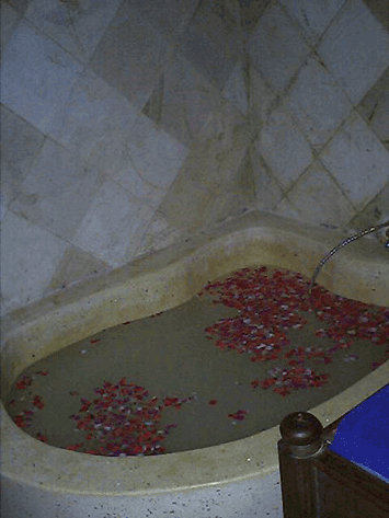 d0038319_9194214.gif