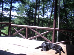 b0034422_23392575.jpg