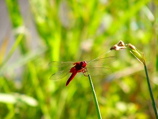 b0009029_21102568.jpg