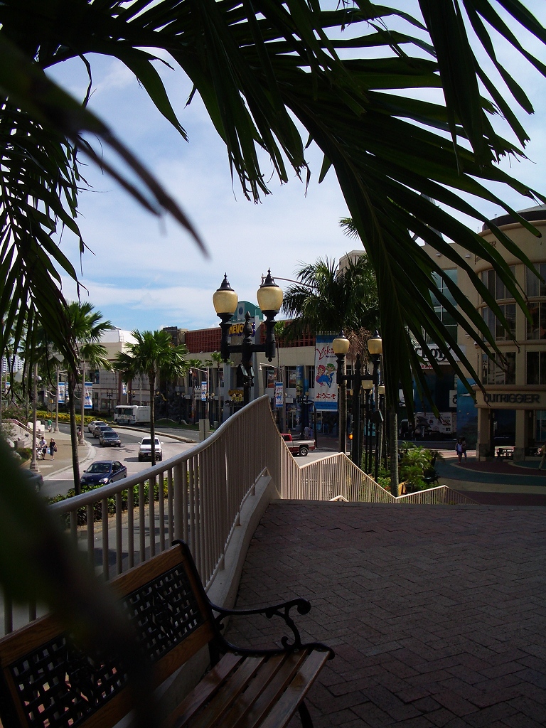d0066031_226030.jpg