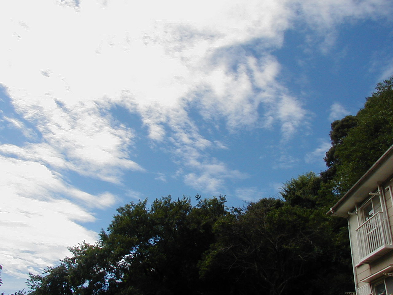 a0013236_13365366.jpg