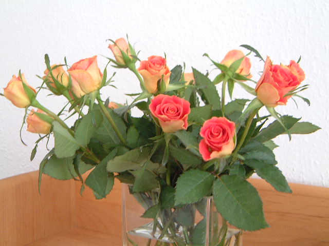 d0024140_21192049.jpg
