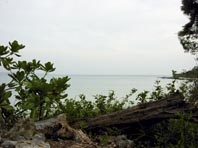 d0014546_19412992.jpg