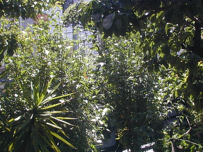 b0021251_16133093.jpg